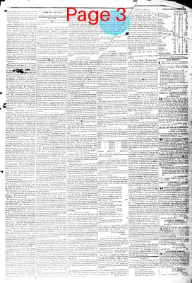 Page thumbnail for Farmers' Gazette, And Cheraw Advertiser