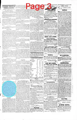 Page thumbnail for The Camden Journal