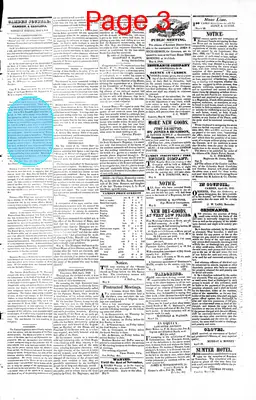 Page thumbnail for The Camden Journal