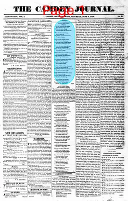 Page thumbnail for The Camden Journal