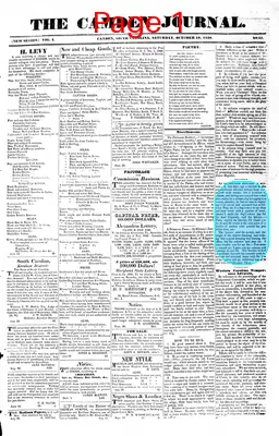 Page thumbnail for The Camden Journal