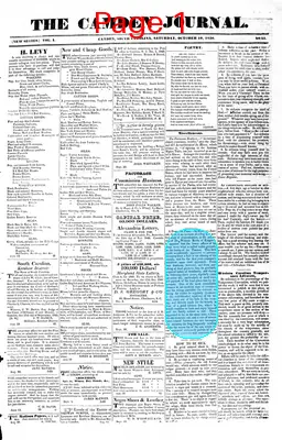 Page thumbnail for The Camden Journal