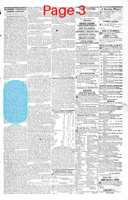 Page thumbnail for The Camden Journal