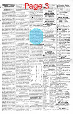 Page thumbnail for The Camden Journal