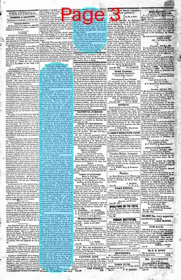 Page thumbnail for The Camden Journal