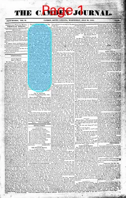 Page thumbnail for The Camden Journal