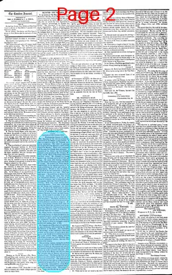 Page thumbnail for The Camden Journal