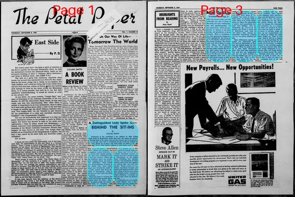 Page thumbnail for The Petal Paper