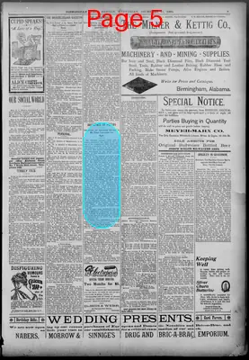 Page thumbnail for Birmingham State Herald