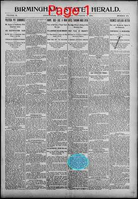 Page thumbnail for Birmingham State Herald