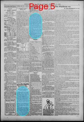 Page thumbnail for Birmingham State Herald