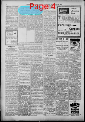 Page thumbnail for Birmingham State Herald