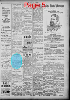 Page thumbnail for Birmingham State Herald