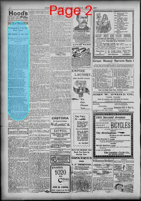 Page thumbnail for Birmingham State Herald