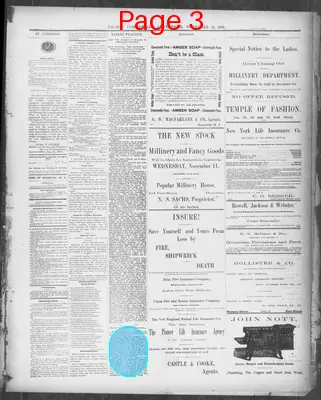 Page thumbnail for The Pacific Commercial Advertiser