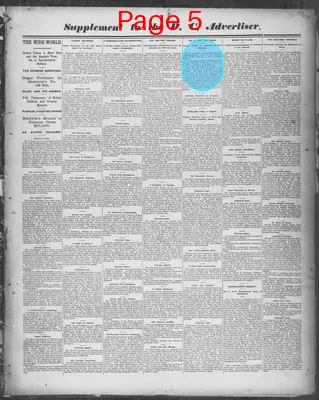 Page thumbnail for The Pacific Commercial Advertiser