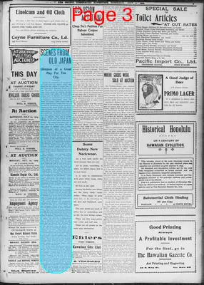 Page thumbnail for The Pacific Commercial Advertiser