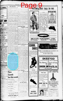 Page thumbnail for The Pacific Commercial Advertiser