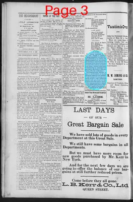 Page thumbnail for The Independent