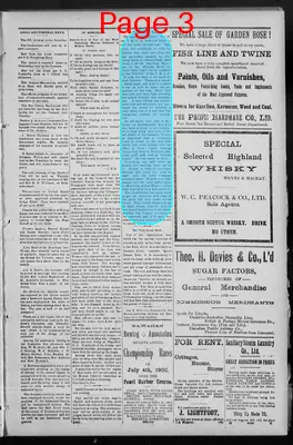Page thumbnail for The Independent
