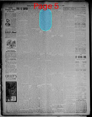 Page thumbnail for Evening Times Republican