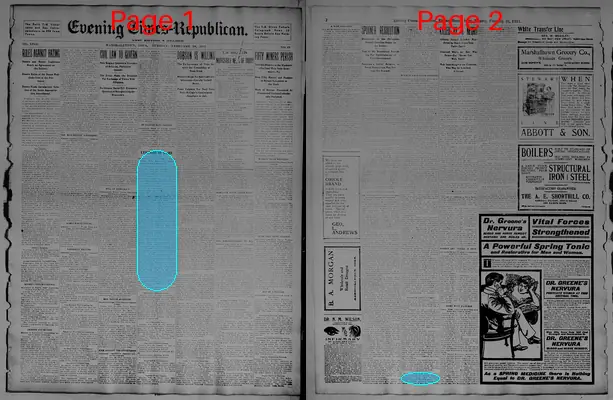 Page thumbnail for Evening Times Republican