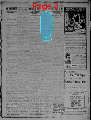 Page thumbnail for Evening Times Republican