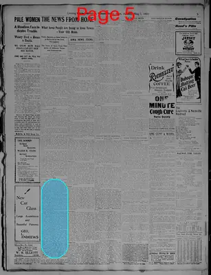 Page thumbnail for Evening Times Republican
