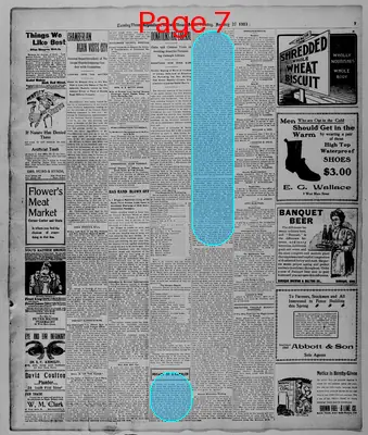 Page thumbnail for Evening Times Republican