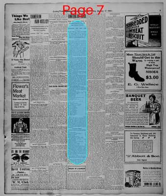 Page thumbnail for Evening Times Republican