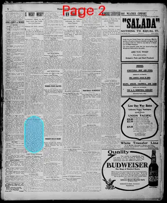 Page thumbnail for Evening Times Republican