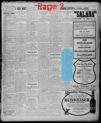 Page thumbnail for Evening Times Republican