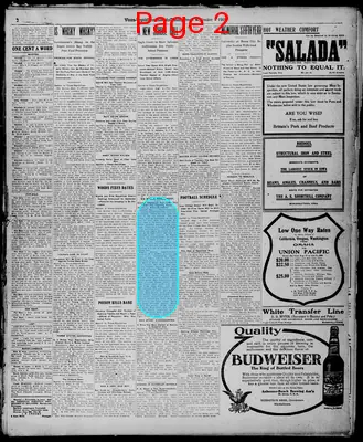 Page thumbnail for Evening Times Republican