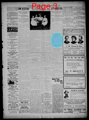 Page thumbnail for Evening Times Republican