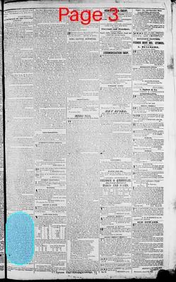 Page thumbnail for Bloomington Herald
