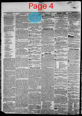 Page thumbnail for Bloomington Herald