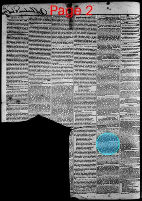 Page thumbnail for Bloomington Herald