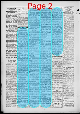 Page thumbnail for The Citizen