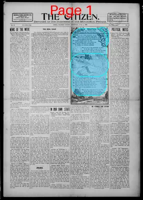 Page thumbnail for The Citizen