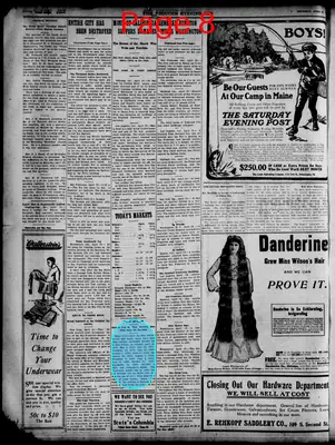 Page thumbnail for The Paducah Sun
