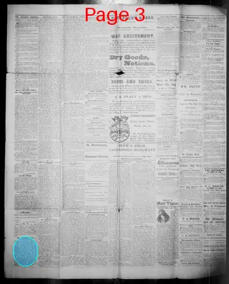 Page thumbnail for The Hickman Courier