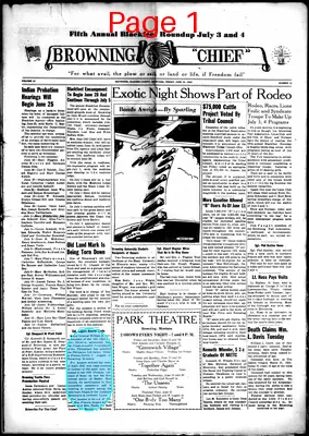 Page thumbnail for Browning Chief