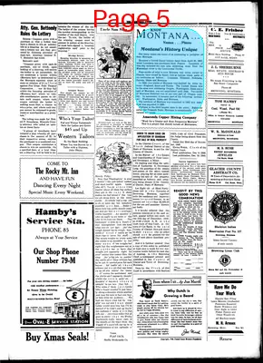 Page thumbnail for Browning Chief
