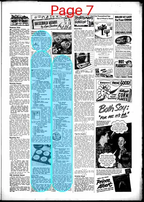 Page thumbnail for Browning Chief