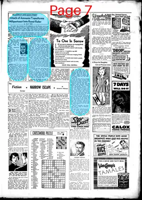 Page thumbnail for Browning Chief