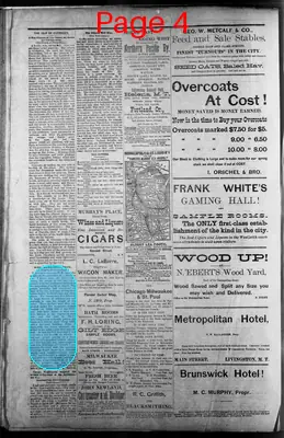 Page thumbnail for The Daily Enterprise