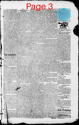 Page thumbnail for Palladium Of Virginia And The Pacific Monitor