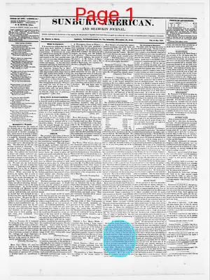Page thumbnail for Sunbury American And Shamokin Journal