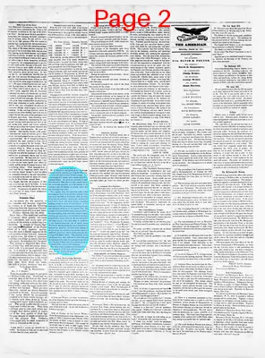 Page thumbnail for Sunbury American And Shamokin Journal