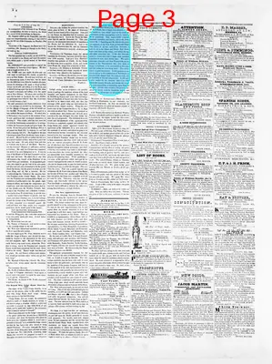 Page thumbnail for Sunbury American And Shamokin Journal